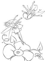 coloriage barbie fairytopia joue au trampoline sur une fleur